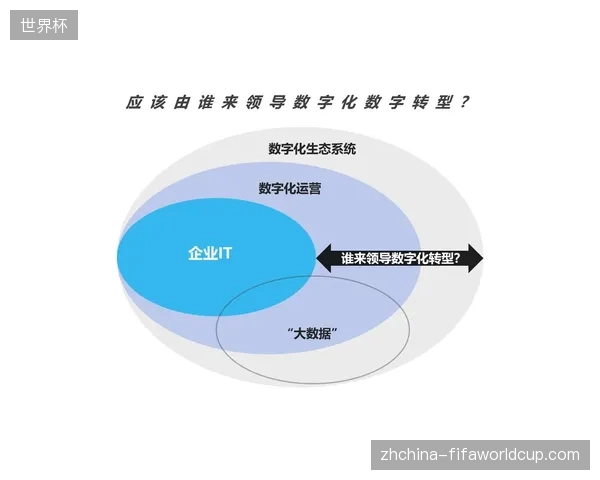 FIFA官方票务代理接入本土渠道后的结算链路优化路径观察